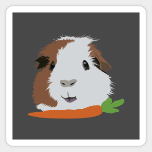 Guinea Pig with a Carrot Magnet